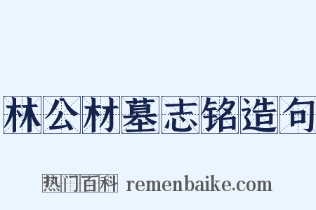 林公材墓志铭造句是什么意思的图片